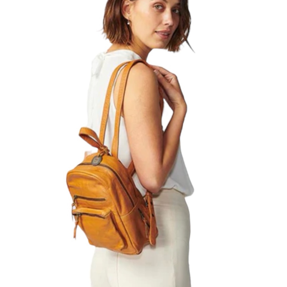 Wanderers Mini Californian Backpack🌵🦎